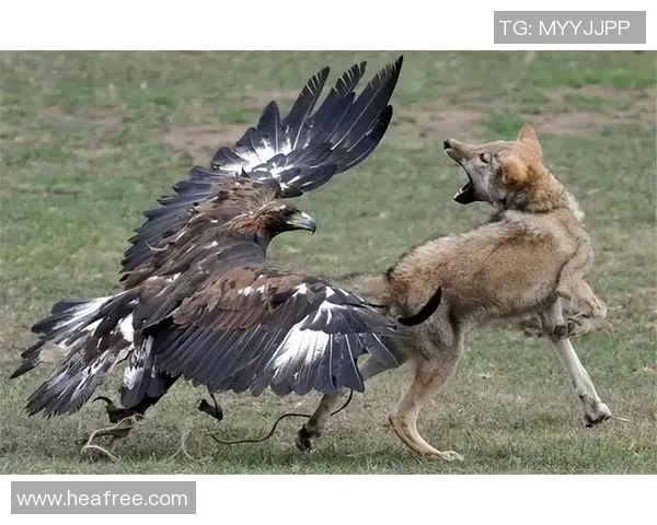 图兵工厂与狼的较量探秘:科技与野性的对决之路 图兵工厂与狼的较量探秘:科技与野性的对决之路