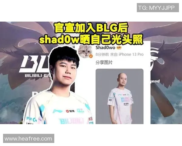 深入分析BLG战队的整体压制策略与战术执行细节