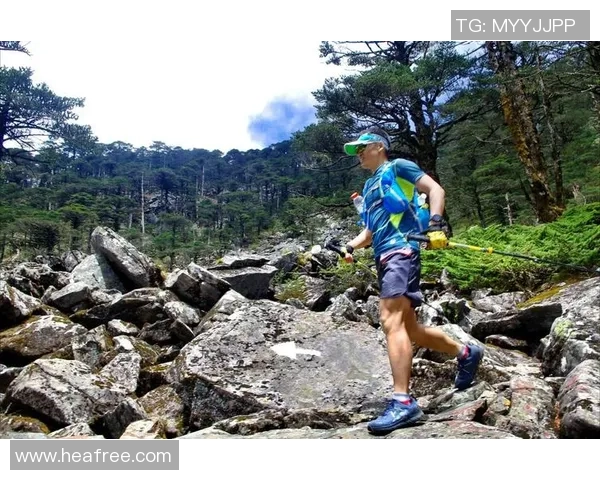 攀岩界权威发布最新战术实力榜单揭示顶尖选手风采与实力对比