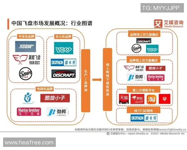 深圳飞盘队的成功运营模式与发展策略深度解析