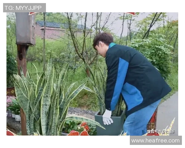 黄磊的网球人生深度对话：从荧幕到球场的热爱与坚持